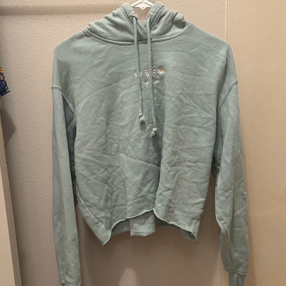 Hollister Pastel Blue Hoodie with Floral Embroidery